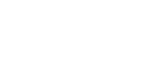 damiano riva logo